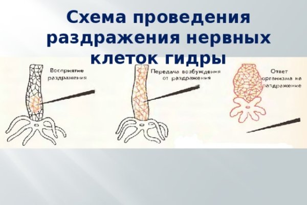 Сайт кракен 24