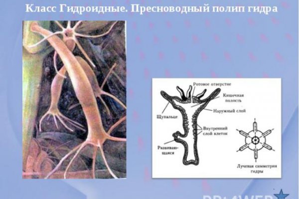 Магазин даркнета
