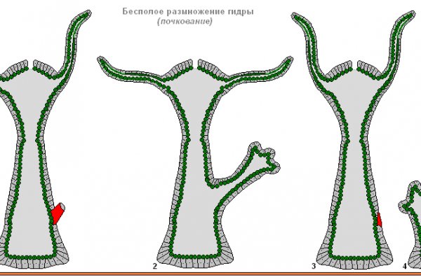 Кракен не работает