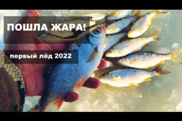 Kraken что это за сайт