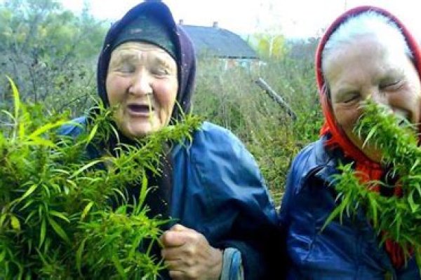 Ссылки для даркнета