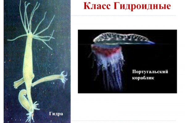 Кракен наркоплейс