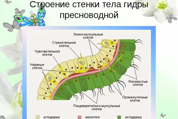 Рабочее зеркало кракен