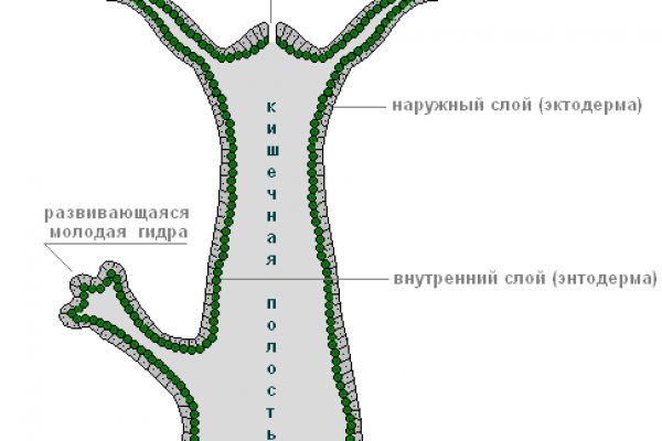 Кракен шоп что это