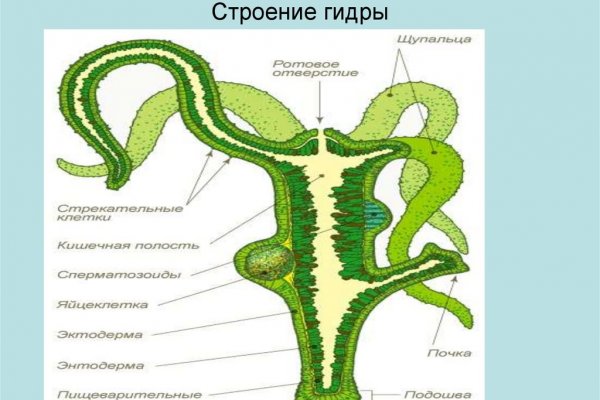 Kraken darknet market ссылка