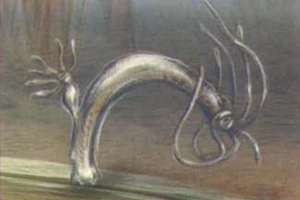 Kraken 18at