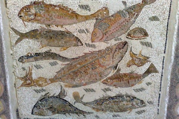Кракен наркошоп ссылка